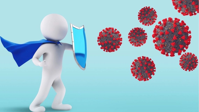 Dung nạp miễn dịch giúp hệ miễn dịch phân biệt tác nhân gây hại và yếu tố vô hại