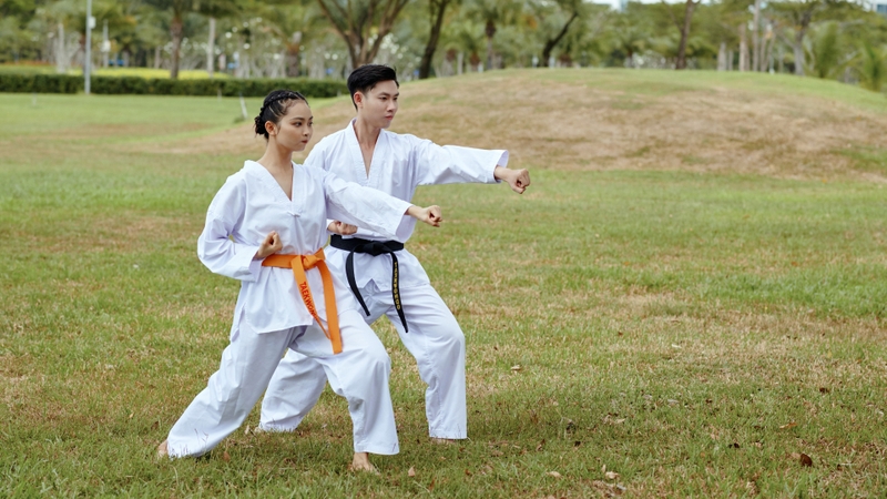 Trong hầu hết các môn võ, tư thế đứng tấn đóng vai trò nền tảng trong huấn luyện thể lực và kỹ thuật