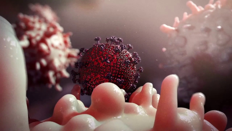 Dùng virus HIV chữa bệnh cho những 'em bé bong bóng' 2