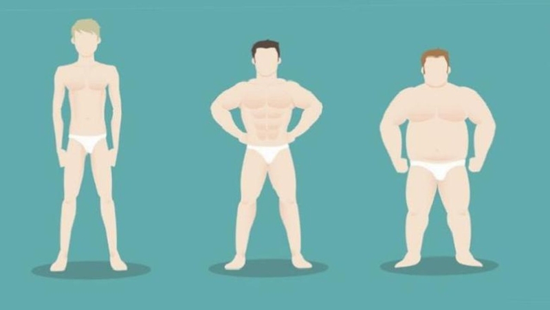 Dược động học là gì và có ý nghĩa thế nào trong lĩnh vực y dược? 2