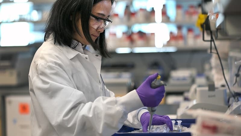 Dược liệu là gì? Tất tần tật thông tin về dược liệu hỗ trợ điều trị bệnh 4