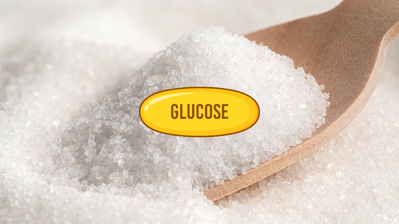Đường glucose có tác dụng gì? Đây là nhiên liệu cho tế bào và cơ quan