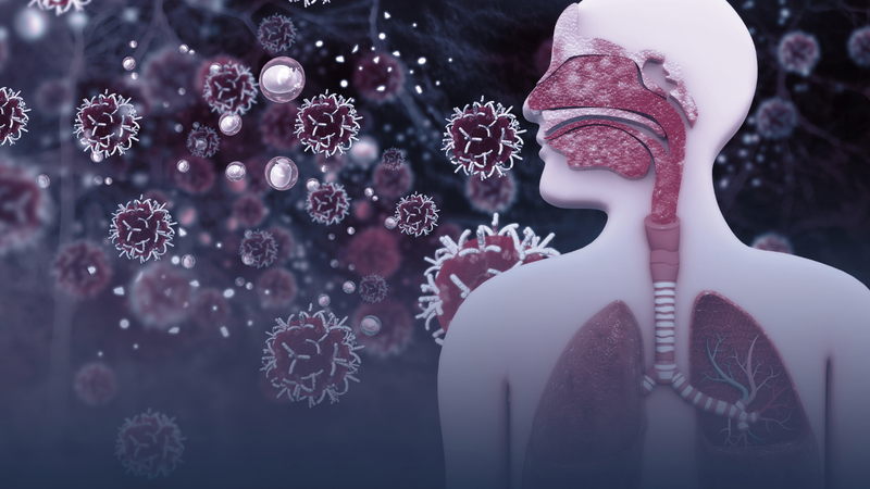 Đường hô hấp trên gồm những bộ phận nào?