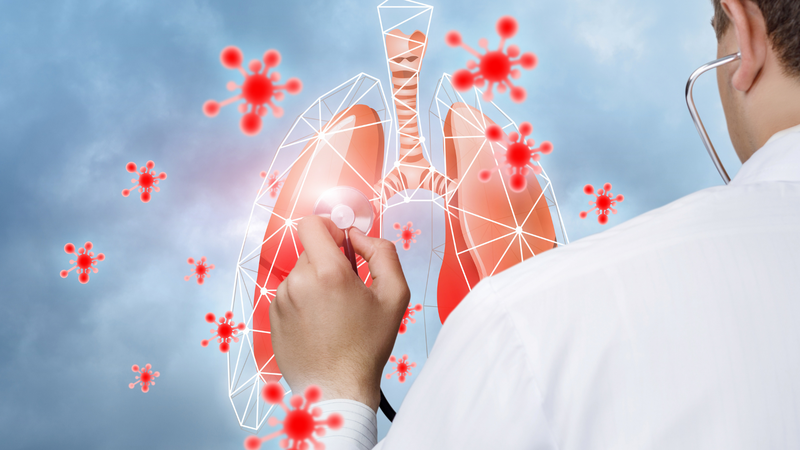 Đường hô hấp trên gồm những bộ phận nào?