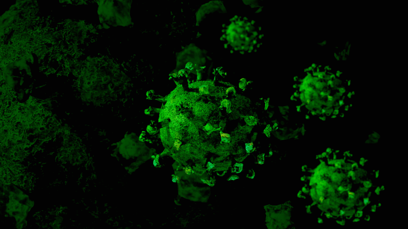 Đường hô hấp trên gồm những bộ phận nào?