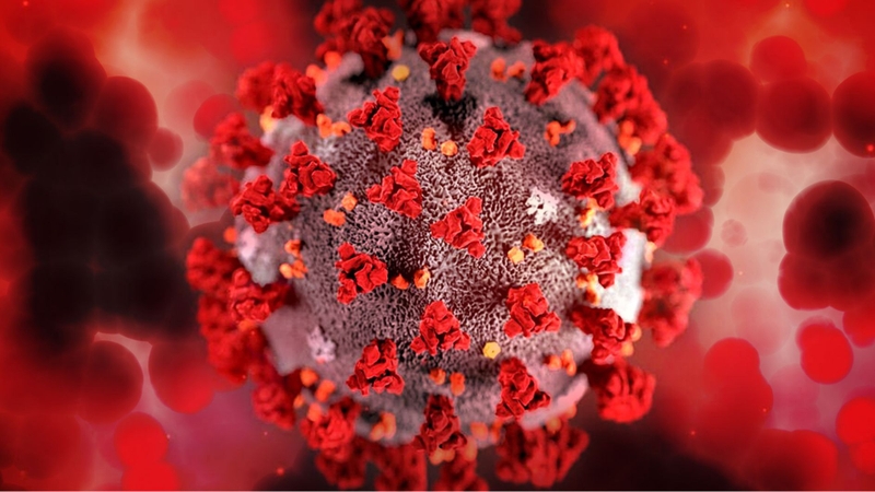 Dương tính với type 12 HPV có nguy hiểm không?