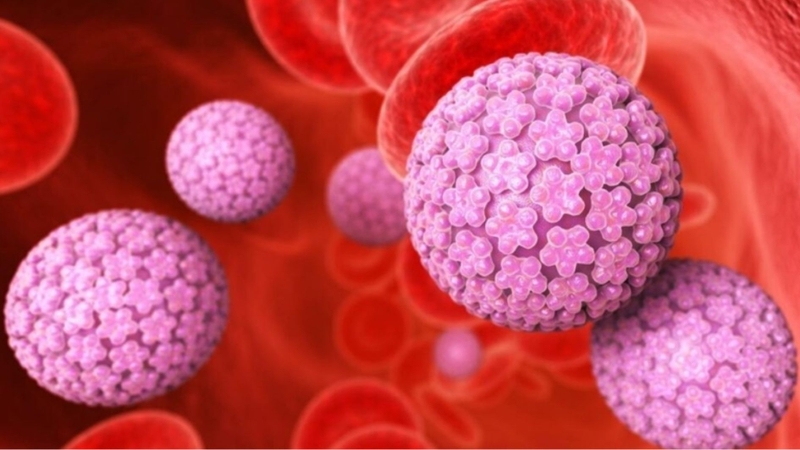 HPV type 16 và 18 là hai chủng có nguy cơ cao