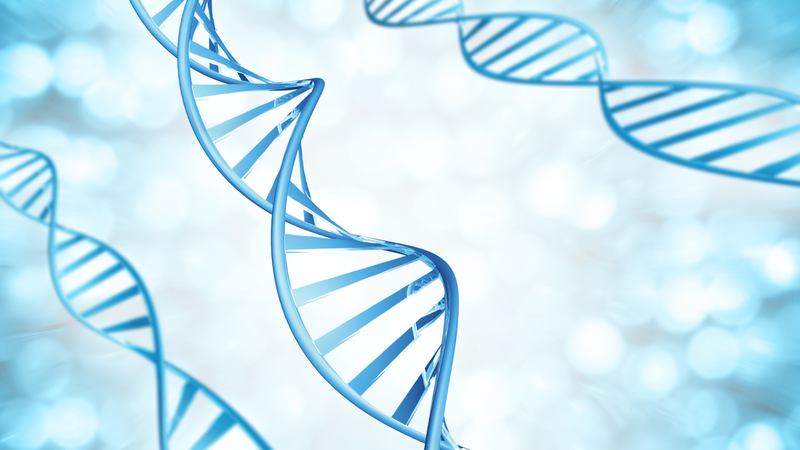 dut-gay-dna-tinh-trung-nguyen-nhan-va-cach-khac-phuc