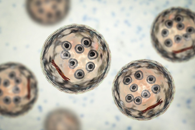 E. histolytica: Nguyên nhân gây nên bệnh lỵ 1