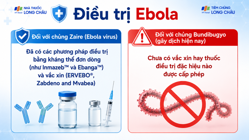 Hiện nay, việc điều trị Ebola vẫn còn nhiều thách thức