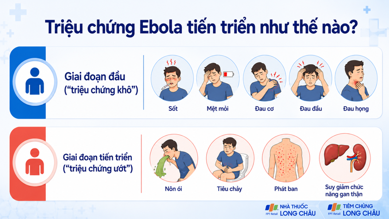 Ebola có thể tiến triển rất nhanh nếu không được phát hiện sớm