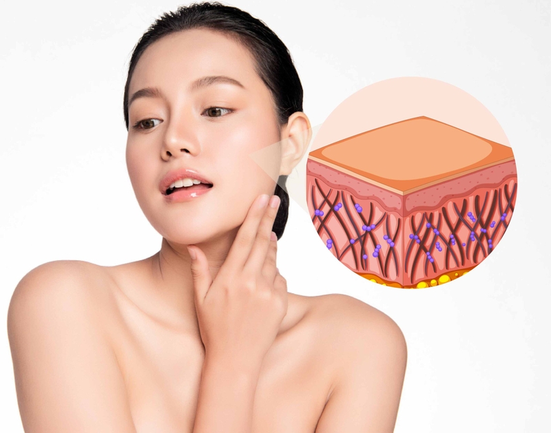 Elastin có tác dụng gì? Phương pháp bổ sung elastin cho cơ thể 2