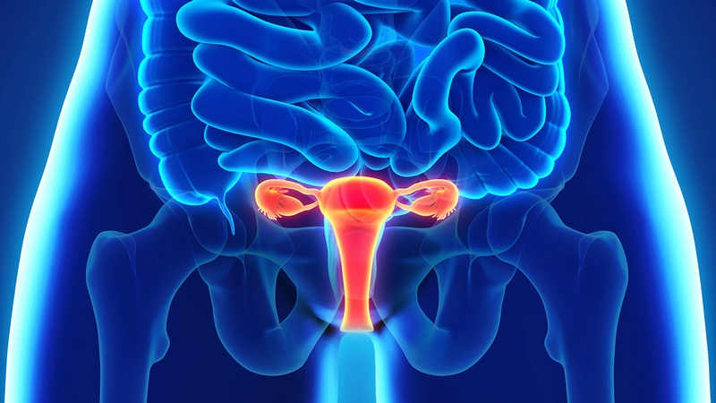 Endometrium là gì? Vai trò của endometrium đối với sức khỏe phụ nữ 1