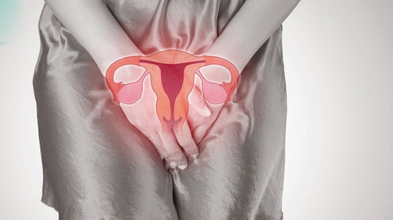 Endometrium là gì? Vai trò của endometrium đối với sức khỏe phụ nữ 2