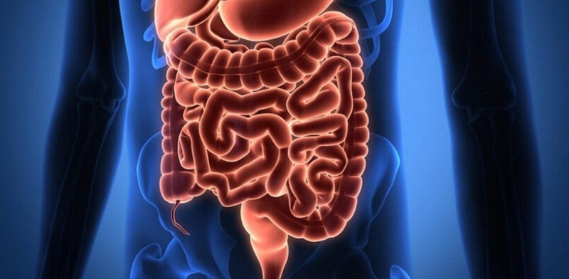 Những điều bạn chưa biết về viêm ruột non 1