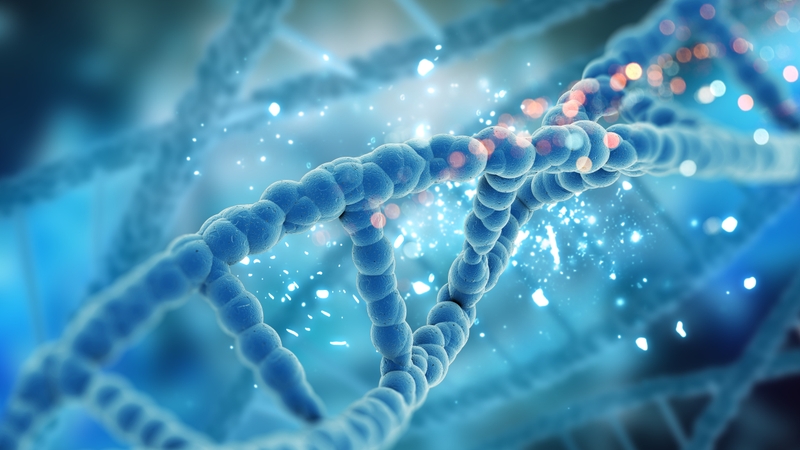 di-truyen-hoc-bieu-sinh-epigenetic-la-gi 1