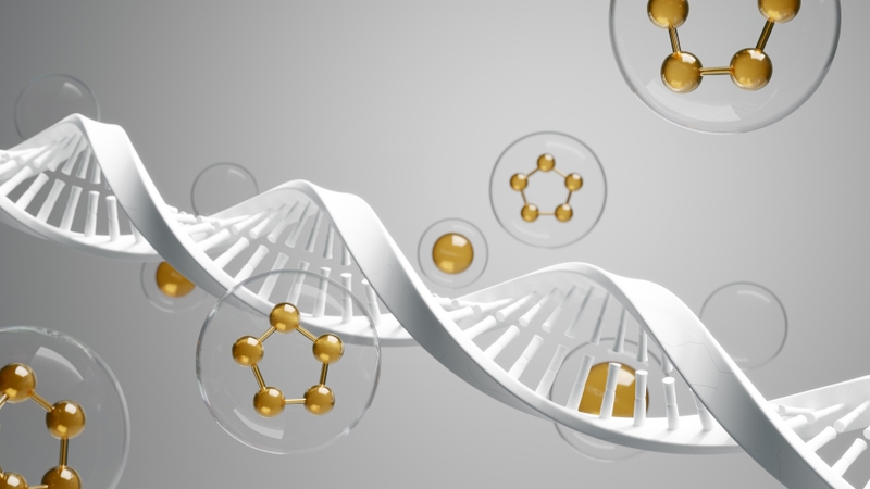 di-truyen-hoc-bieu-sinh-epigenetic-la-gi 2