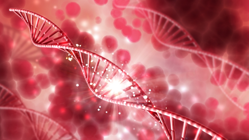 di-truyen-hoc-bieu-sinh-epigenetic-la-gi 3