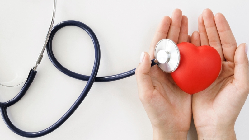 di-truyen-hoc-bieu-sinh-epigenetic-la-gi 4