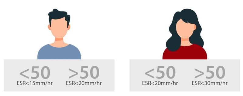 ESR là gì? Ý nghĩa của xét nghiệm ESR 4