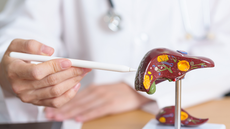 f3-la-gi-hieu-biet-ve-xo-gan-f3 1