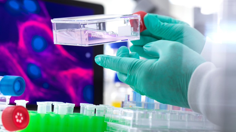 f3-la-gi-hieu-biet-ve-xo-gan-f3 4