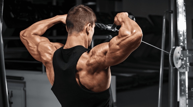 Face Pulls là gì? Những sai lầm thường gặp khi tập Face Pulls là gì? 2