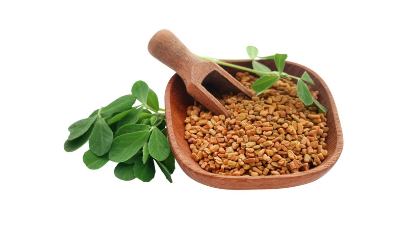 Tổng quan về lợi ích của Fenugreek đối với sức khỏe 1