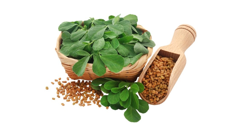 Tổng quan về lợi ích của Fenugreek đối với sức khỏe 2