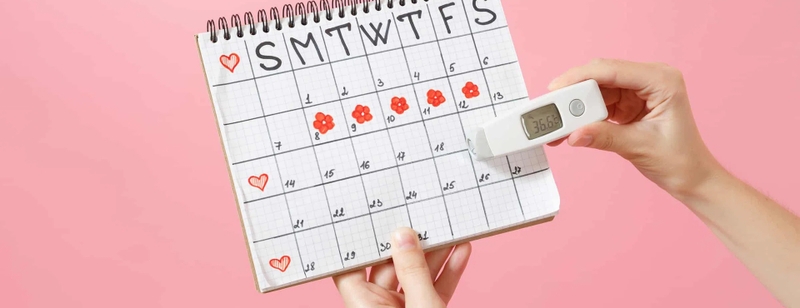 Fertile window là gì? Phương pháp xác định cửa sổ sinh sản như thế nào?