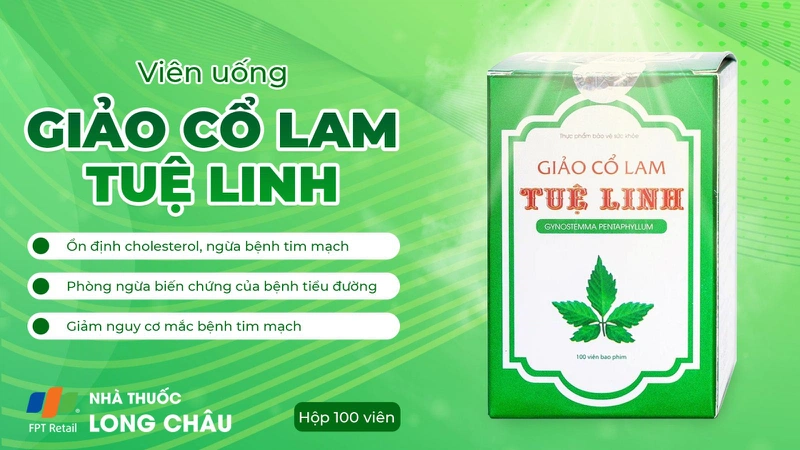 Giảo Cổ Lam Tuệ Linh 2