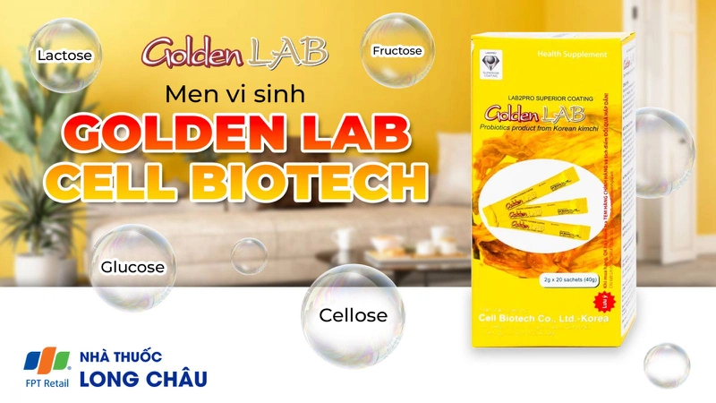 Men vi sinh Golden Lab 1