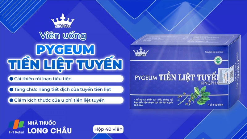 Pygeum Tiền Liệt Tuyến 2