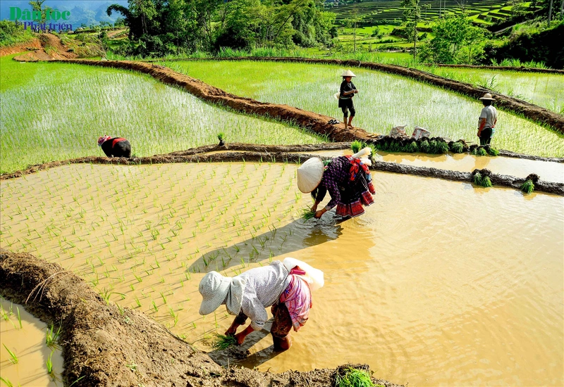 Bị nước ăn chân là như thế nào? Dấu hiệu và cách điều trị việc bị nước ăn chân 2