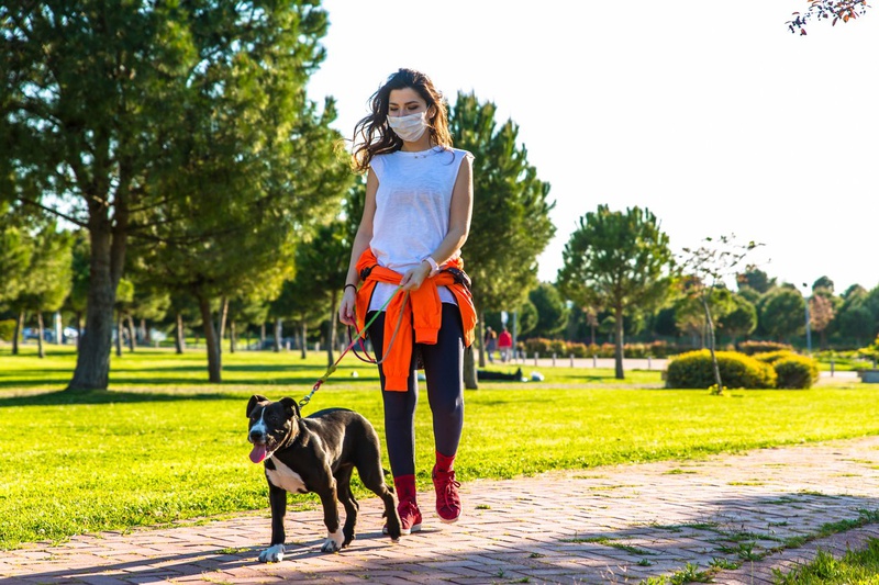 10 cách để di chuyển nhiều hơn trong cuộc sống hàng ngày 3