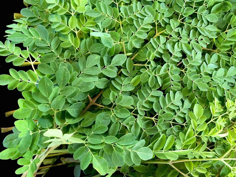 10 cách nấu cháo lươn cho bé ăn dặm 7 tháng tuổi tăng cân vù vù 2