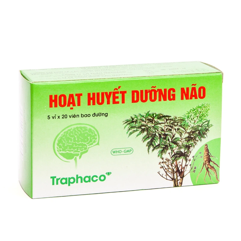 Người trẻ có nên uống hoạt huyết dưỡng não? Giải pháp chăm sóc sức khỏe trí não hiệu quả