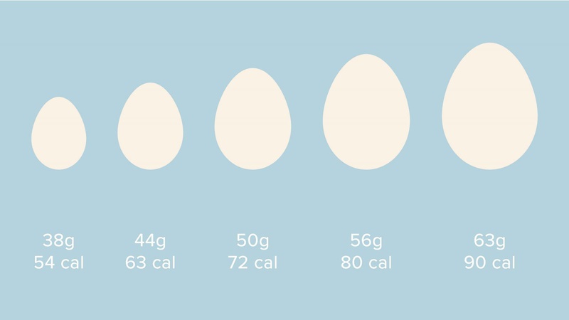 1 quả trứng gà bao nhiêu calo? Những lợi ích khi sử dụng trứng gà 1