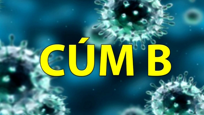 Cúm B là bệnh gì?