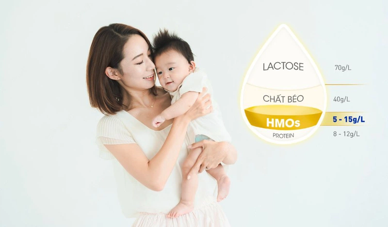 HMO có vai trò tăng cường hệ miễn dịch