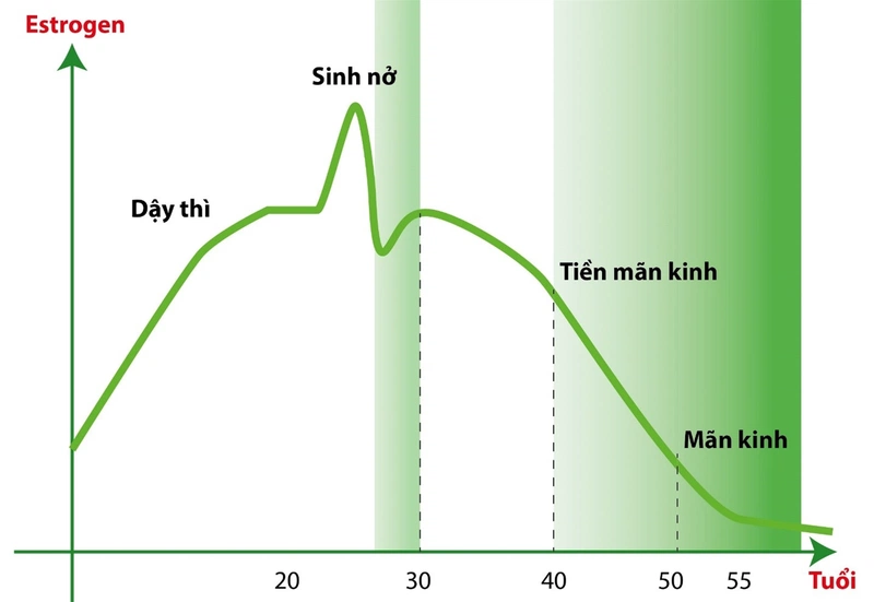 Đặt thuốc viêm phụ khoa bị ra máu,  nguyên nhân và cách điều trị 3