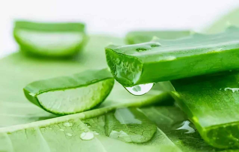 4 cách trị rụng tóc từ thiên nhiên nên thử ngay hôm nay