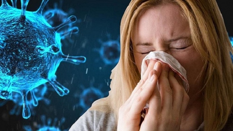 Virus cảm cúm là nguyên nhân hàng đầu khiến cho người bệnh bị hắt hơi liên tục