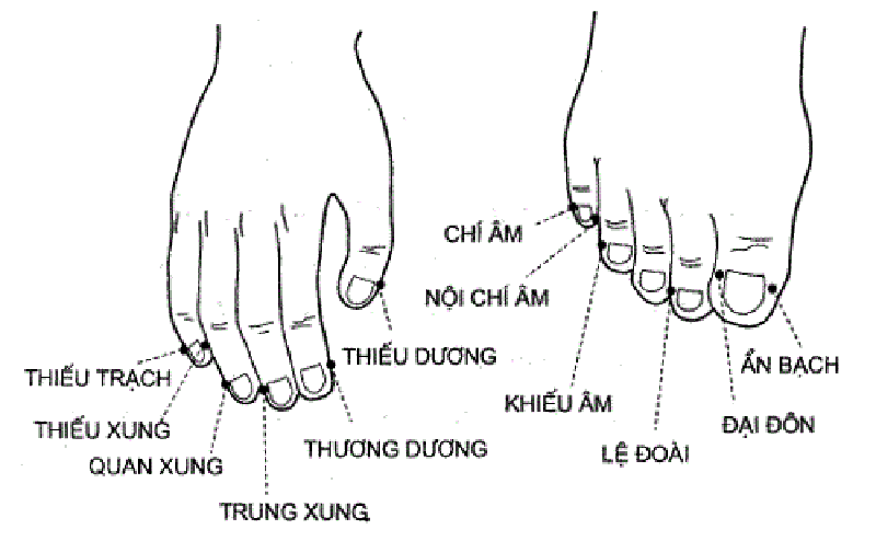 Bấm huyệt Khiếu Âm là một trong những cách bấm huyệt chữa rối loạn tiền đình đơn giản tại nhà