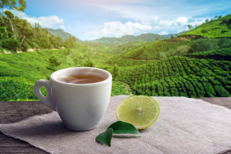 Trà xanh không giúp chống lão hoá da mà còn giúp giảm hôi miệng hiệu quả