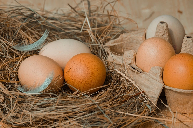 7 cách bảo quản trứng gà tươi lâu đảm bảo dinh dưỡng