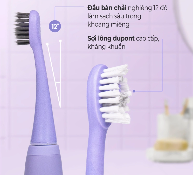 Chính sách bảo hành bàn chải điện Halio Sonic Whitening Toothbrush Periwinkle Limited Editon 2