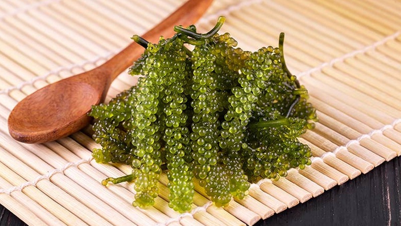 Ăn rong nho có tác dụng gì? Cách ăn và bảo quản rong nho 4