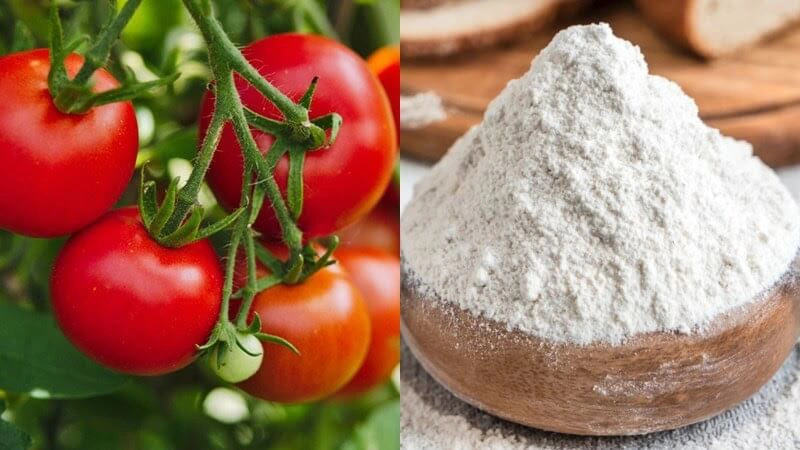 Bật mí cách làm lông chân mọc thưa và nhạt màu 3