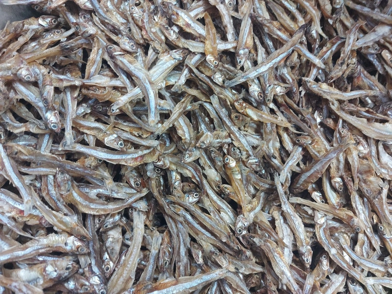 Bầu ăn cá cơm được không? Lợi ích sức khỏe cá cơm mang đến cho mẹ bầu